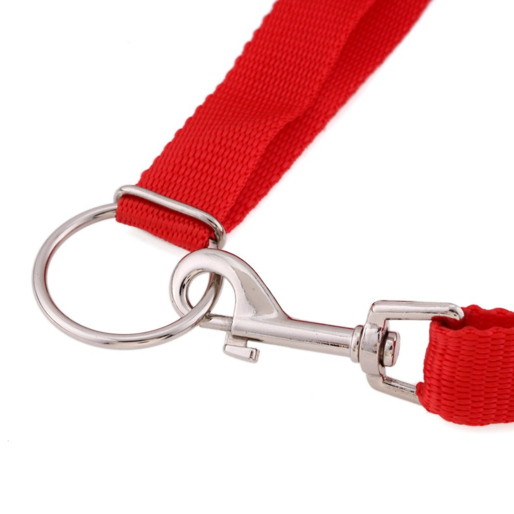 Instant dog trainer leash