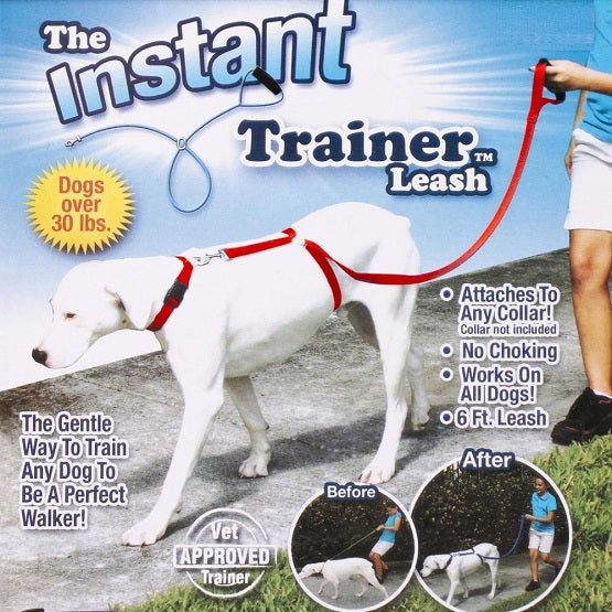 Instant dog trainer leash