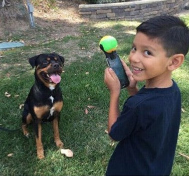 Dog selfie stick ball