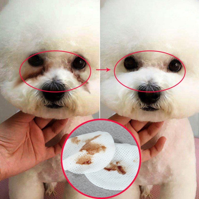 Pet Eye Grooming Wipes